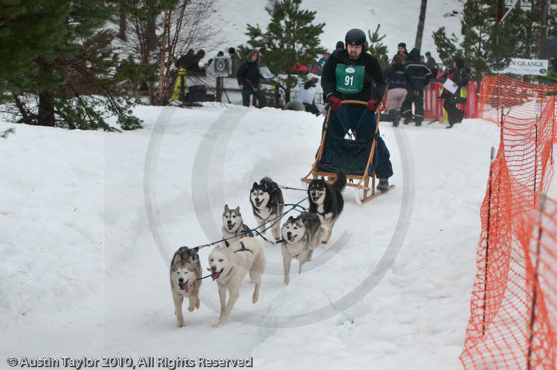 Racing Team in the Siberian Husky Club of GB Arden Grange Aviemore Sled Dog Rally 2010