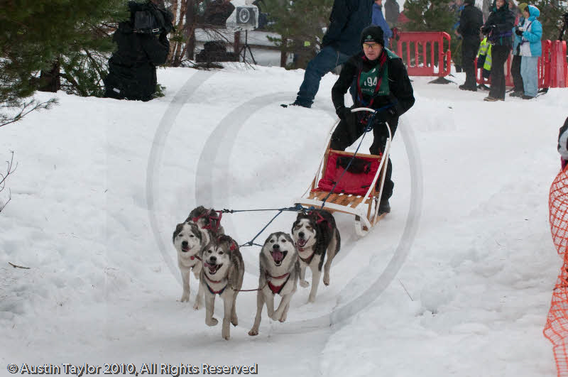 Racing Team in the Siberian Husky Club of GB Arden Grange Aviemore Sled Dog Rally 2010