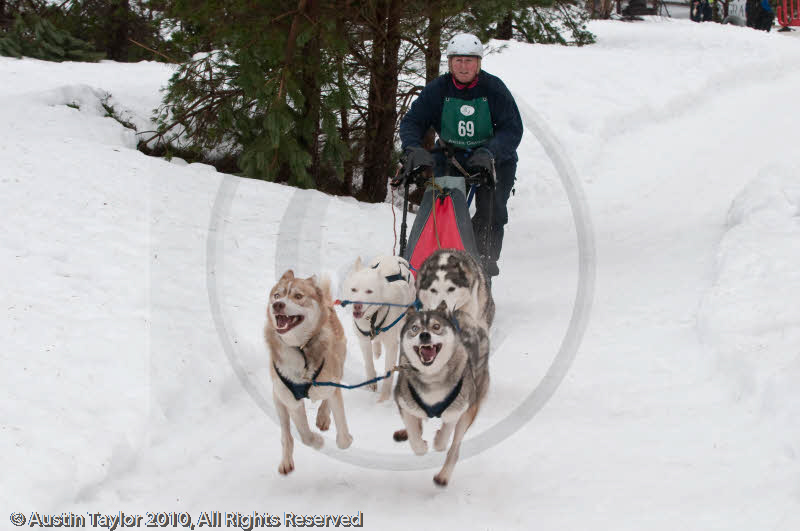 Racing Team in the Siberian Husky Club of GB Arden Grange Aviemore Sled Dog Rally 2010