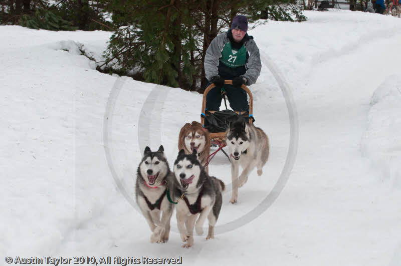 Racing Team in the Siberian Husky Club of GB Arden Grange Aviemore Sled Dog Rally 2010