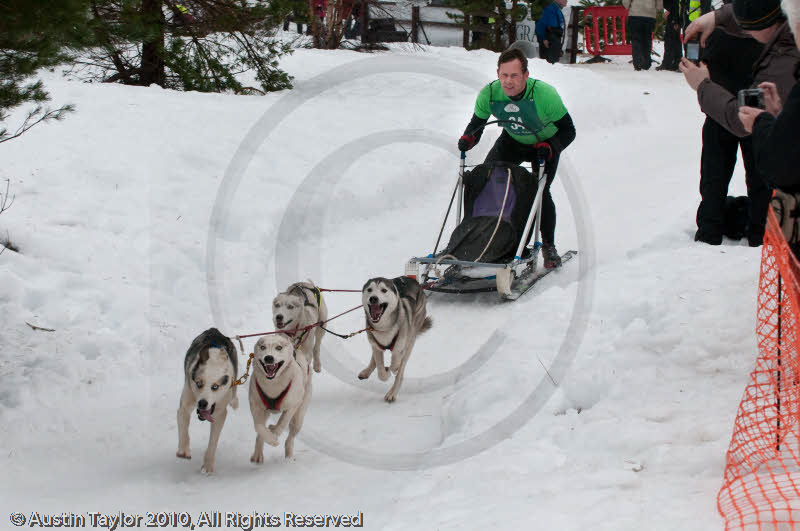 Racing Team in the Siberian Husky Club of GB Arden Grange Aviemore Sled Dog Rally 2010