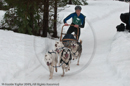 Racing Team in the Siberian Husky Club of GB Arden Grange Aviemore Sled Dog Rally 2010