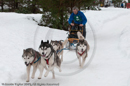 Racing Team in the Siberian Husky Club of GB Arden Grange Aviemore Sled Dog Rally 2010