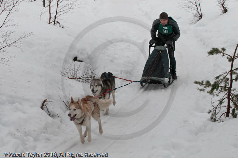 Class D Racing Team in the Siberian Husky Club of GB Arden Grange Aviemore Sled Dog Rally 2010