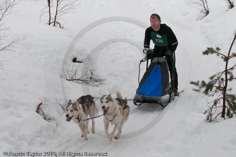 Class D Racing Team in the Siberian Husky Club of GB Arden Grange Aviemore Sled Dog Rally 2010