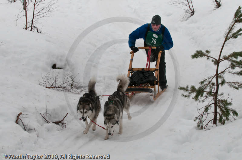 Class D Racing Team in the Siberian Husky Club of GB Arden Grange Aviemore Sled Dog Rally 2010