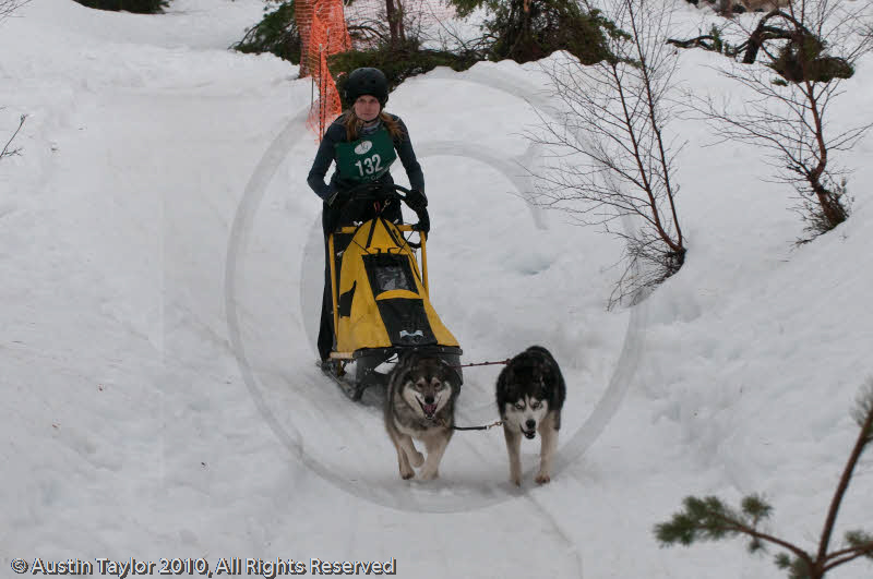 Class D Racing Team in the Siberian Husky Club of GB Arden Grange Aviemore Sled Dog Rally 2010