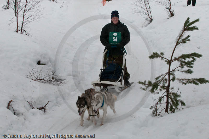 Class D Racing Team in the Siberian Husky Club of GB Arden Grange Aviemore Sled Dog Rally 2010