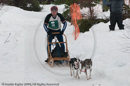Class D Racing Team in the Siberian Husky Club of GB Arden Grange Aviemore Sled Dog Rally 2010