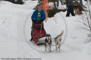 Class D Racing Team in the Siberian Husky Club of GB Arden Grange Aviemore Sled Dog Rally 2010
