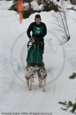 Class D Racing Team in the Siberian Husky Club of GB Arden Grange Aviemore Sled Dog Rally 2010