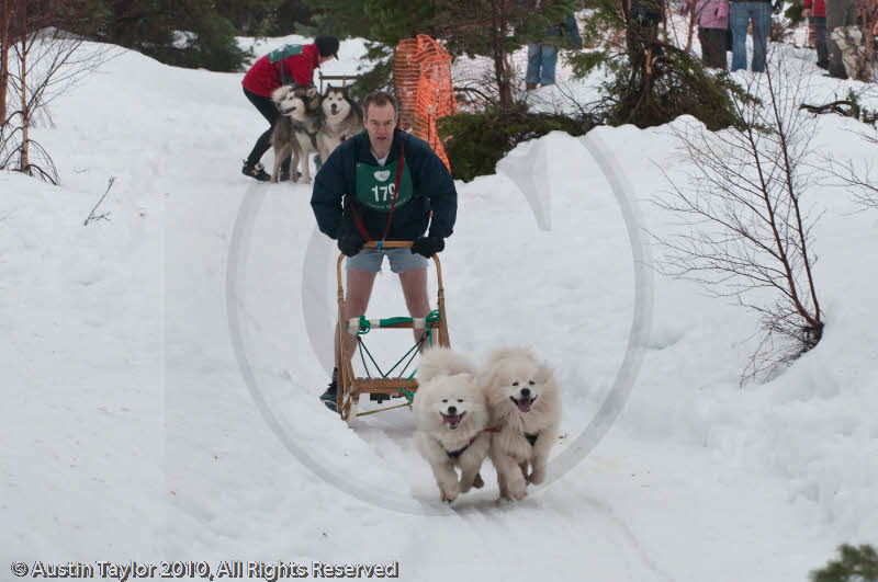 Class D2 Racing Team in the Siberian Husky Club of GB Arden Grange Aviemore Sled Dog Rally 2010
