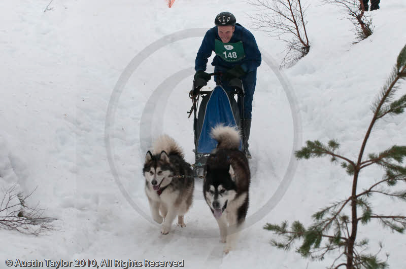 Class D2 Racing Team in the Siberian Husky Club of GB Arden Grange Aviemore Sled Dog Rally 2010