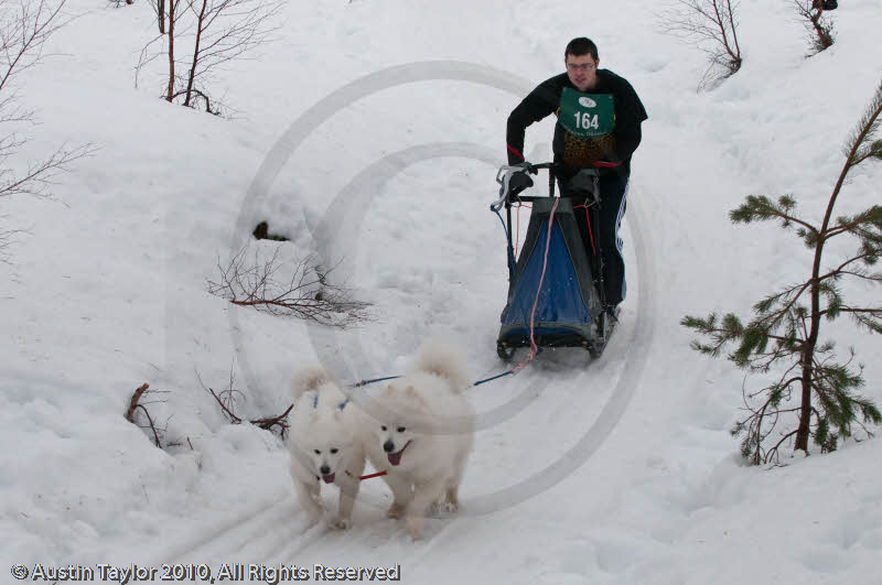 Class D2 Racing Team in the Siberian Husky Club of GB Arden Grange Aviemore Sled Dog Rally 2010