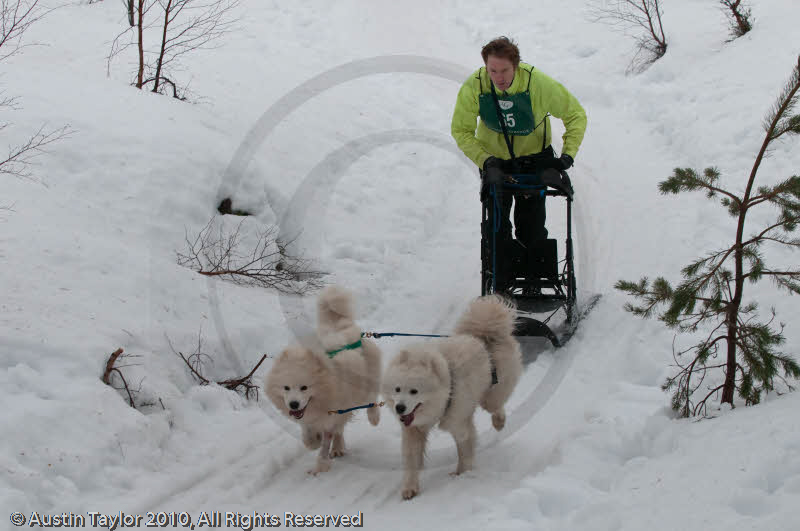 Class D2 Racing Team in the Siberian Husky Club of GB Arden Grange Aviemore Sled Dog Rally 2010