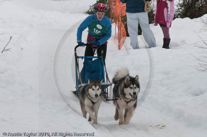Class D2 Racing Team in the Siberian Husky Club of GB Arden Grange Aviemore Sled Dog Rally 2010