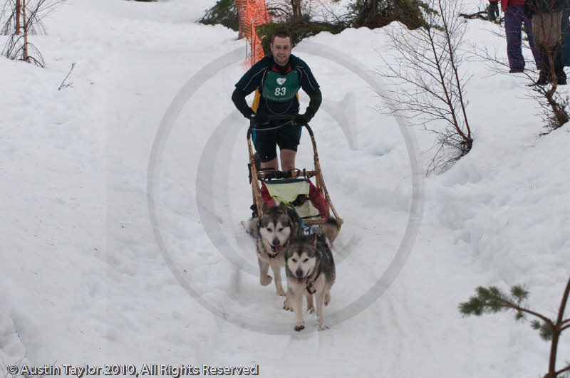 Class D2 Racing Team in the Siberian Husky Club of GB Arden Grange Aviemore Sled Dog Rally 2010