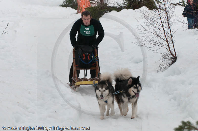 Class D2 Racing Team in the Siberian Husky Club of GB Arden Grange Aviemore Sled Dog Rally 2010