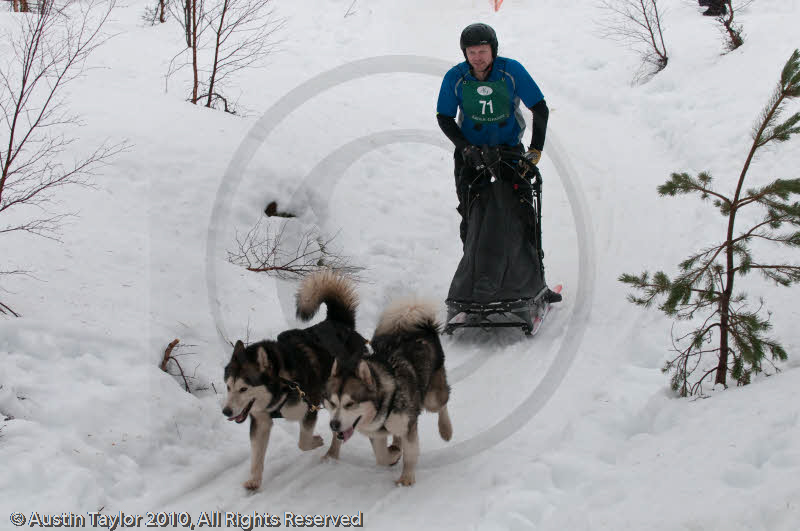 Class D2 Racing Team in the Siberian Husky Club of GB Arden Grange Aviemore Sled Dog Rally 2010