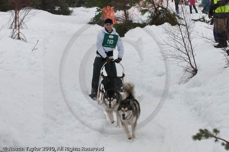 Class D2 Racing Team in the Siberian Husky Club of GB Arden Grange Aviemore Sled Dog Rally 2010