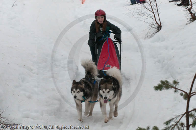 Class D2 Racing Team in the Siberian Husky Club of GB Arden Grange Aviemore Sled Dog Rally 2010