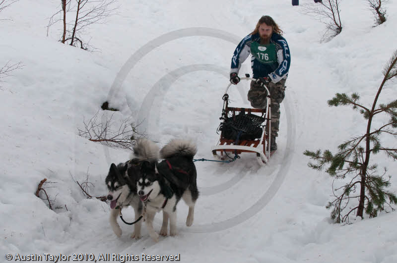 Class D2 Racing Team in the Siberian Husky Club of GB Arden Grange Aviemore Sled Dog Rally 2010