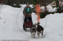Class D2 Racing Team in the Siberian Husky Club of GB Arden Grange Aviemore Sled Dog Rally 2010