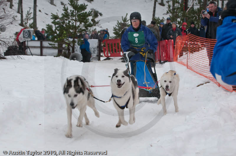 Class E Racing Team in the Siberian Husky Club of GB Arden Grange Aviemore Sled Dog Rally 2010