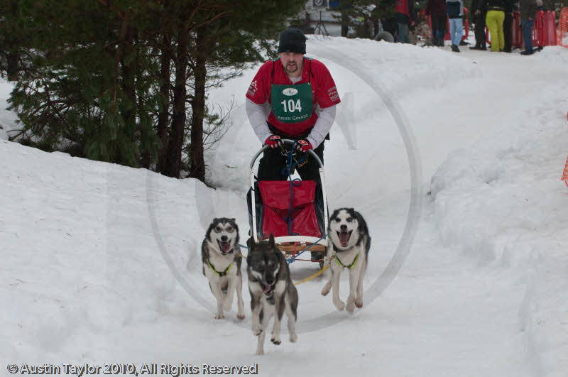 Class E Racing Team in the Siberian Husky Club of GB Arden Grange Aviemore Sled Dog Rally 2010