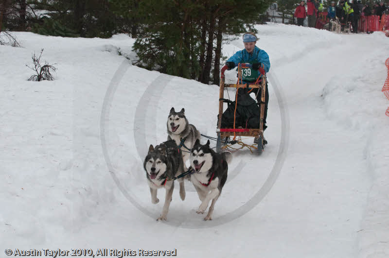 Class E Racing Team in the Siberian Husky Club of GB Arden Grange Aviemore Sled Dog Rally 2010