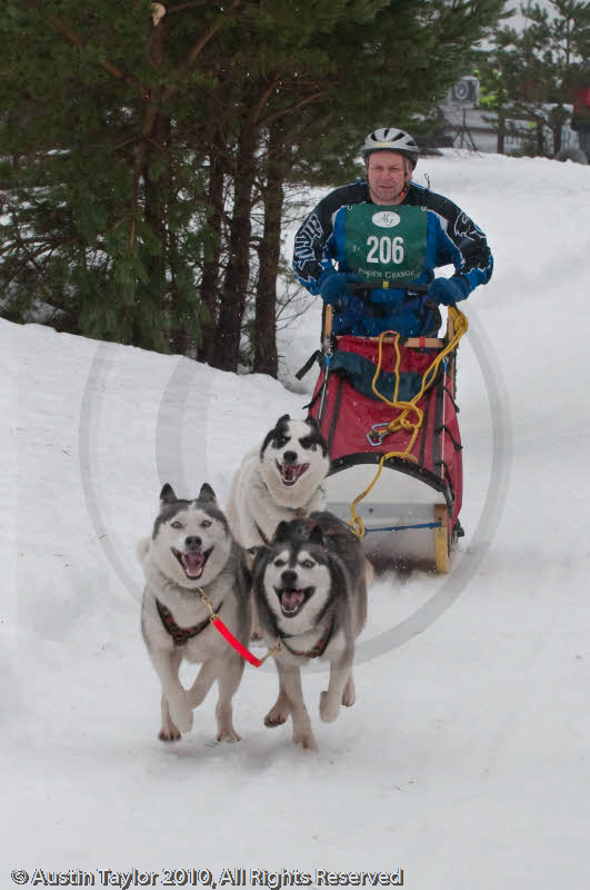 Class E Racing Team in the Siberian Husky Club of GB Arden Grange Aviemore Sled Dog Rally 2010