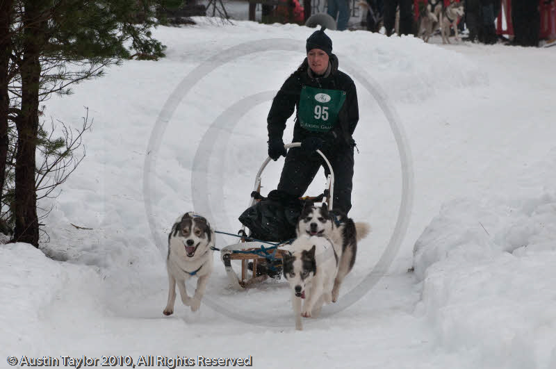Class E Racing Team in the Siberian Husky Club of GB Arden Grange Aviemore Sled Dog Rally 2010