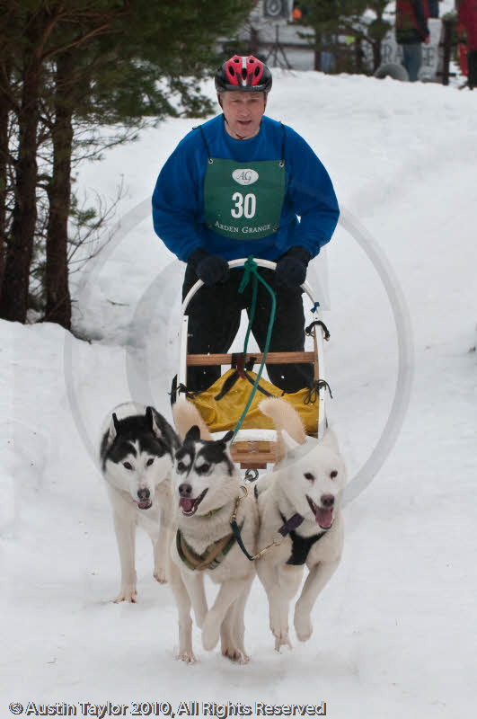 Class E Racing Team in the Siberian Husky Club of GB Arden Grange Aviemore Sled Dog Rally 2010