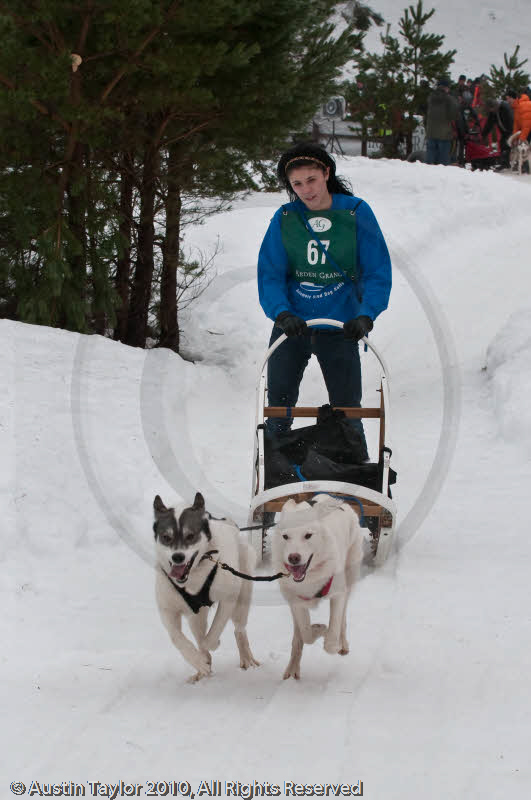 Class E Racing Team in the Siberian Husky Club of GB Arden Grange Aviemore Sled Dog Rally 2010