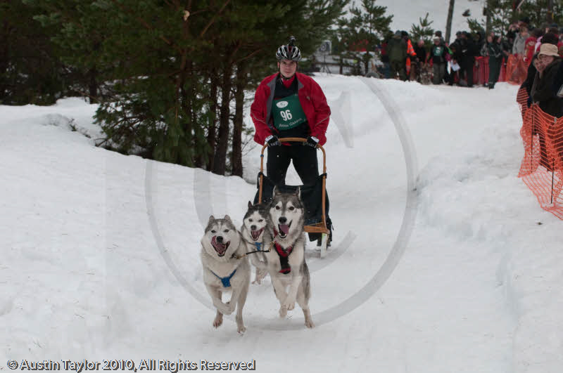 Class E Racing Team in the Siberian Husky Club of GB Arden Grange Aviemore Sled Dog Rally 2010