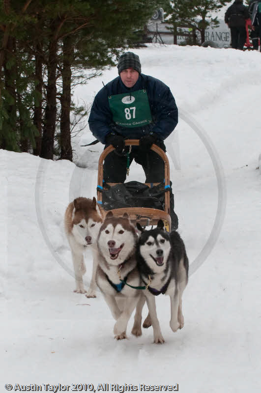 Class E Racing Team in the Siberian Husky Club of GB Arden Grange Aviemore Sled Dog Rally 2010