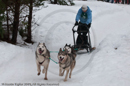 Class E Racing Team in the Siberian Husky Club of GB Arden Grange Aviemore Sled Dog Rally 2010