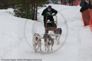 Class E Racing Team in the Siberian Husky Club of GB Arden Grange Aviemore Sled Dog Rally 2010