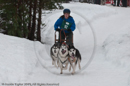 Class E Racing Team in the Siberian Husky Club of GB Arden Grange Aviemore Sled Dog Rally 2010