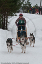 Class E Racing Team in the Siberian Husky Club of GB Arden Grange Aviemore Sled Dog Rally 2010