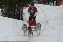 Class E Racing Team in the Siberian Husky Club of GB Arden Grange Aviemore Sled Dog Rally 2010