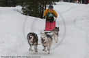 Class E Racing Team in the Siberian Husky Club of GB Arden Grange Aviemore Sled Dog Rally 2010