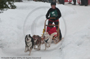Class E Racing Team in the Siberian Husky Club of GB Arden Grange Aviemore Sled Dog Rally 2010