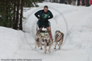 Class E Racing Team in the Siberian Husky Club of GB Arden Grange Aviemore Sled Dog Rally 2010