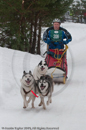 Class E Racing Team in the Siberian Husky Club of GB Arden Grange Aviemore Sled Dog Rally 2010