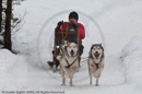 Class E dog sled racing team