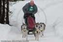 Class E Racing Team in the Siberian Husky Club of GB Arden Grange Aviemore Sled Dog Rally 2010