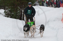Class E Racing Team in the Siberian Husky Club of GB Arden Grange Aviemore Sled Dog Rally 2010