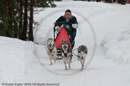 Class E Racing Team in the Siberian Husky Club of GB Arden Grange Aviemore Sled Dog Rally 2010