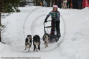 Class E Racing Team in the Siberian Husky Club of GB Arden Grange Aviemore Sled Dog Rally 2010